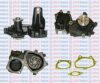 AQUAPLUS 85-4310 Water Pump